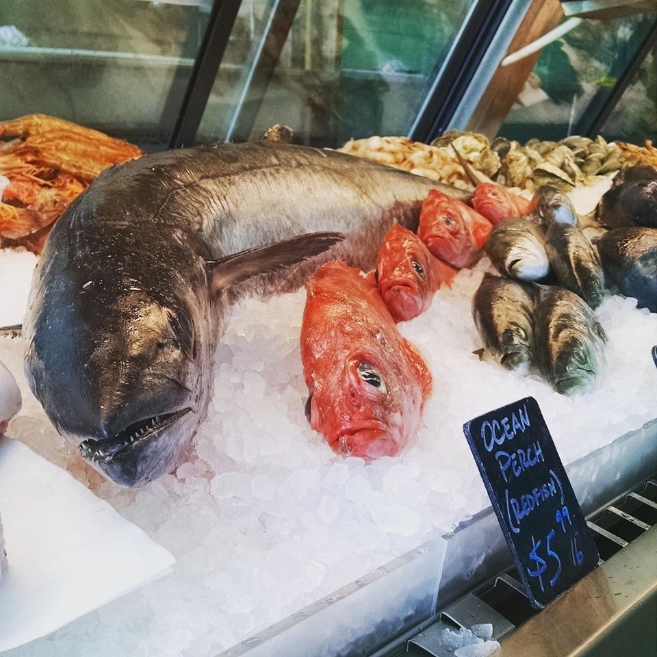 Seafood Cooking Class with New Deal Fish Market [11/10/16]