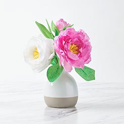 crepe paper flower workshop 01 21 17 paper flower workshop