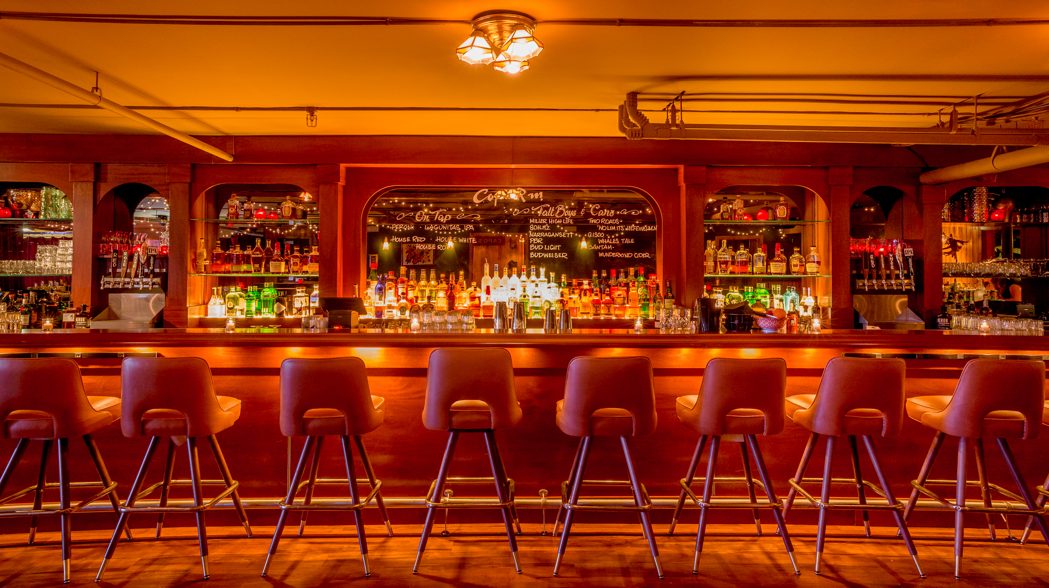 Blue Sphere Foundation Cocktails for a Cause [04/20/17]