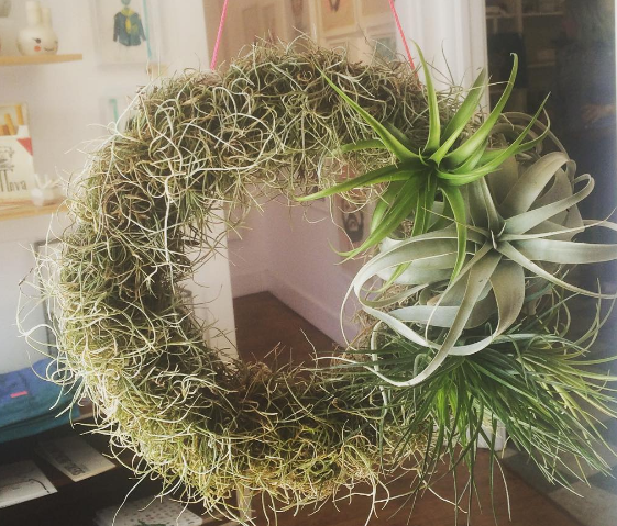 Air Plant Wreath Workshop [03/19/17]