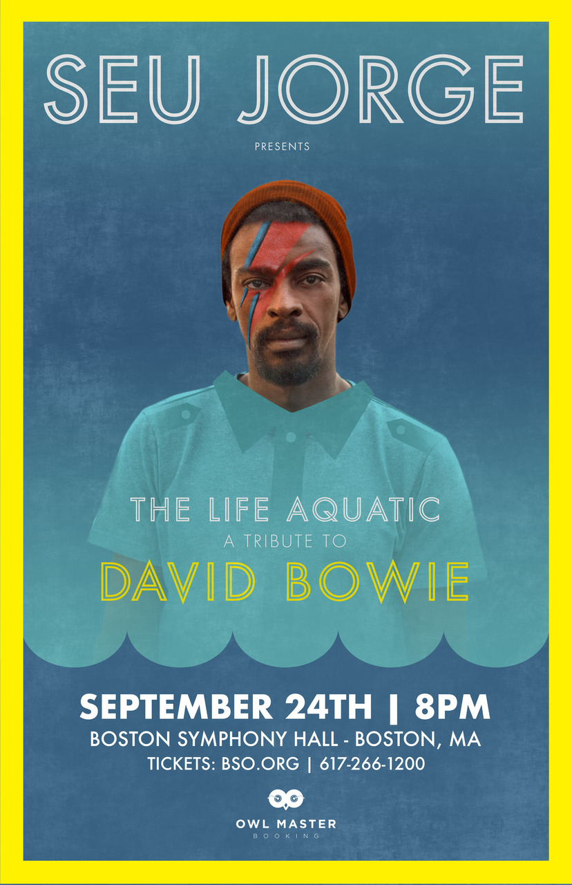 David Bowie カバー LIFE AQUATIC SEU JORGE David Bowie カバー LIFE