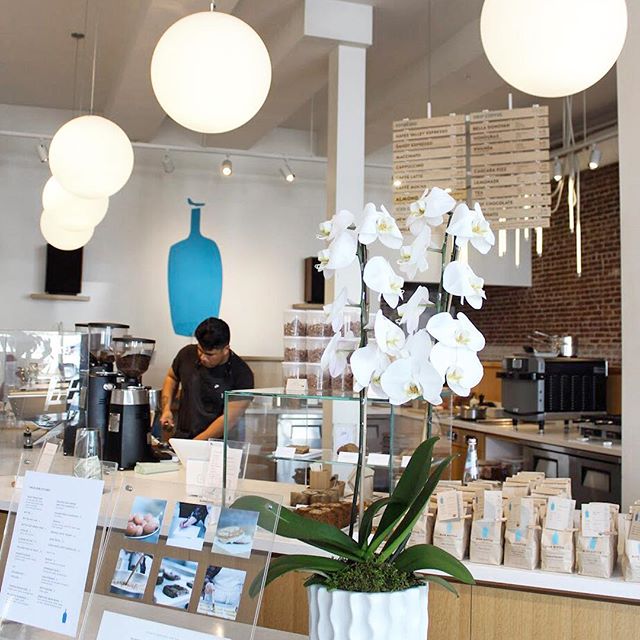 Careers in Coffee Baristas Boston (Blue Bottle Coffee) [08/30/17]