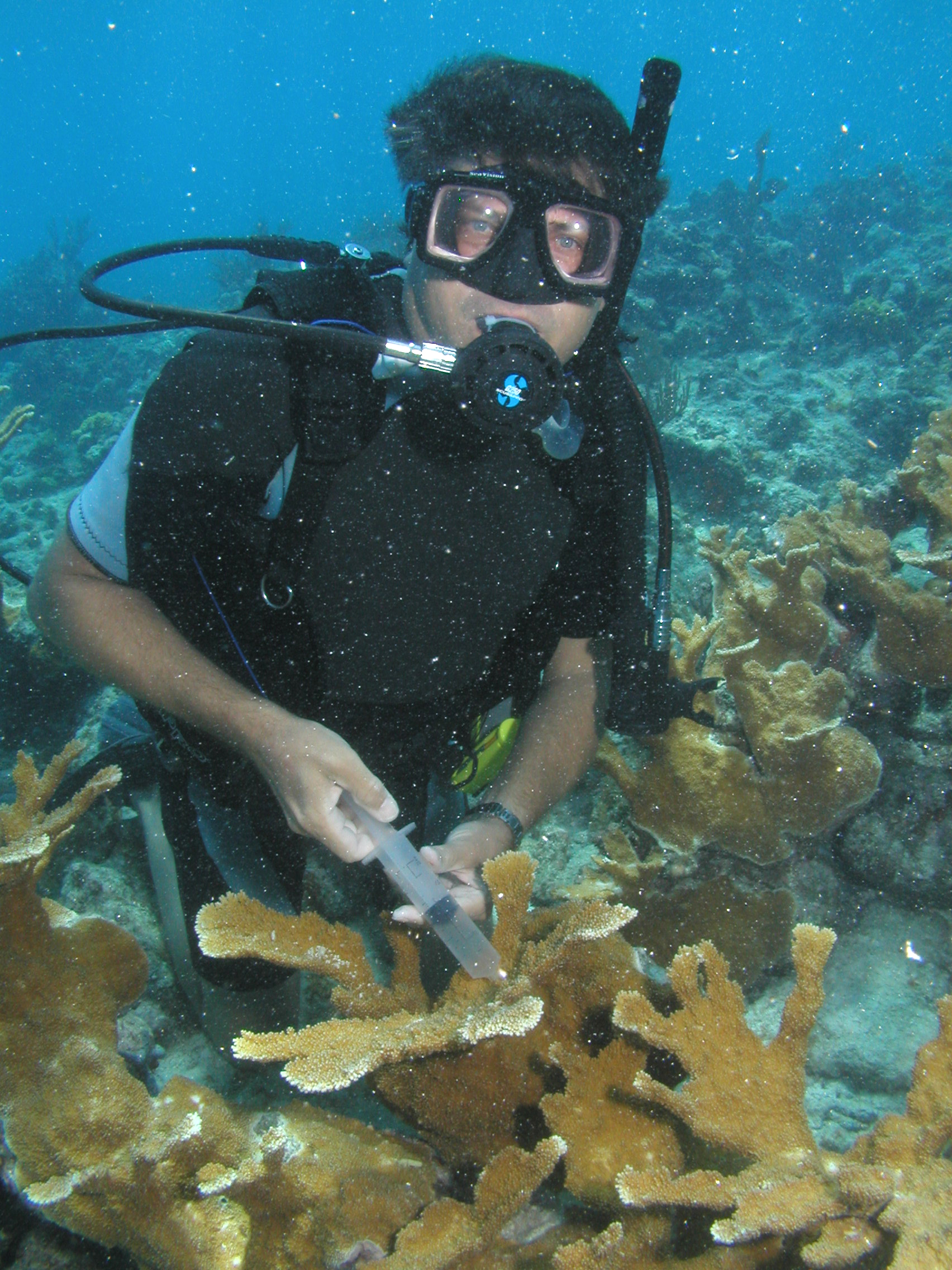 Is This Machine The Key To Saving Coral Islands? - fjnoetn