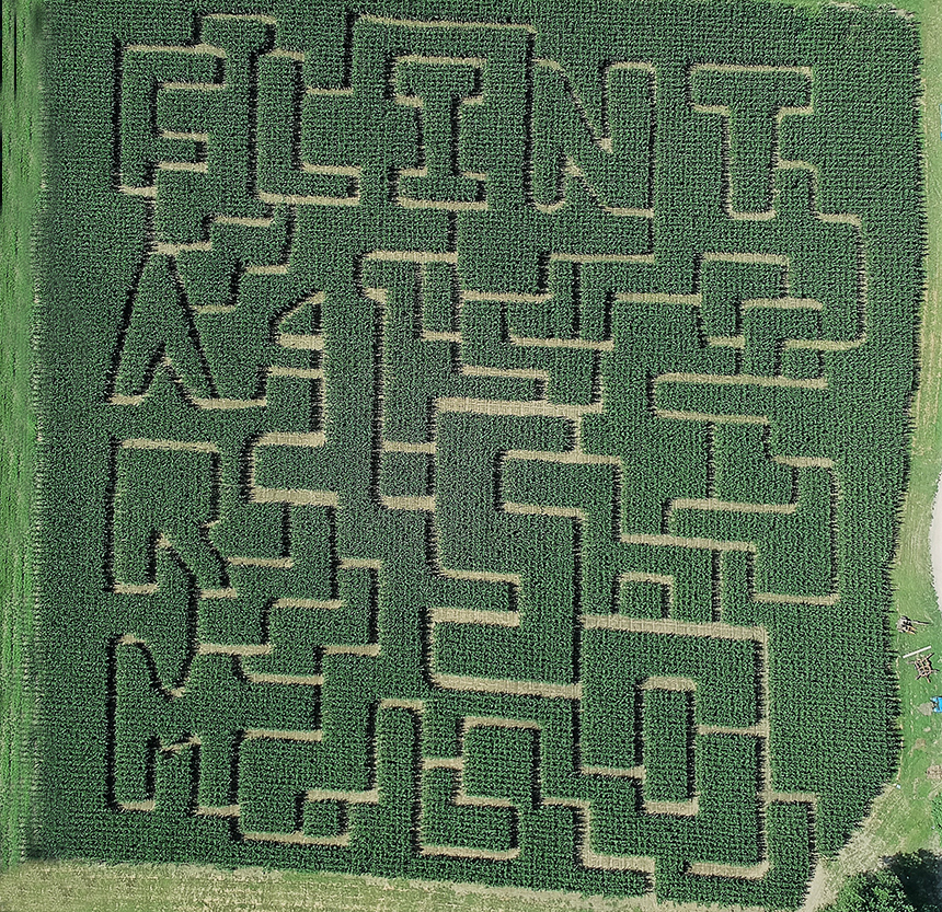Maze Puzzle Game Icon Maze Square Labyrinth On