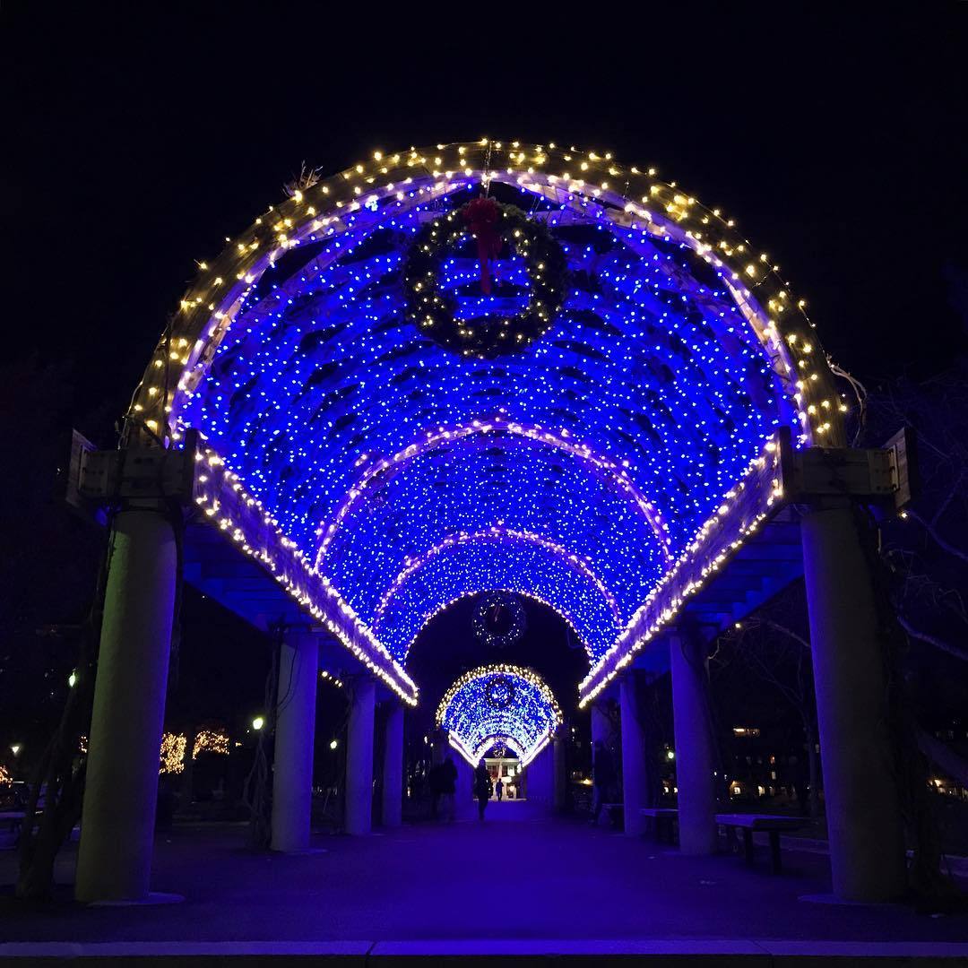 Holiday Trellis Lighting Christopher Columbus Park 11 25 19 Holiday Trellis Lighting Christopher Columbus Park 11 25 19