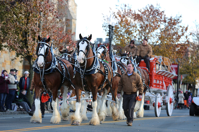 Quincy Christmas Parade 2022 Adress Rock Around The City Of Quincy's Christmas Festival All Weekend After  Thanksgiving [11/23/18]