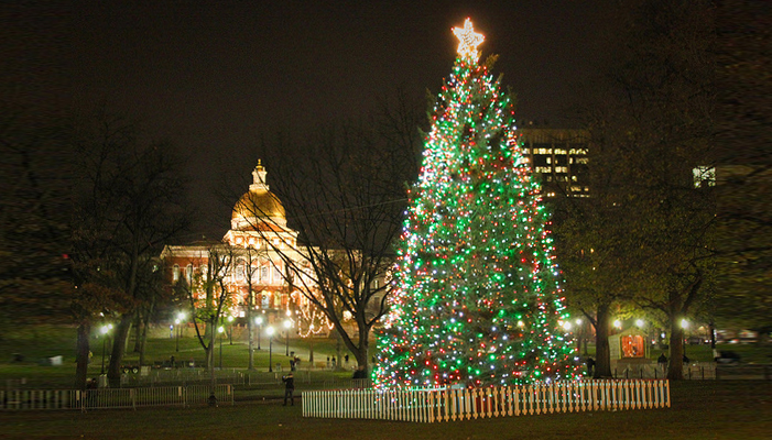 Boston Common Tree Lighting Ceremony