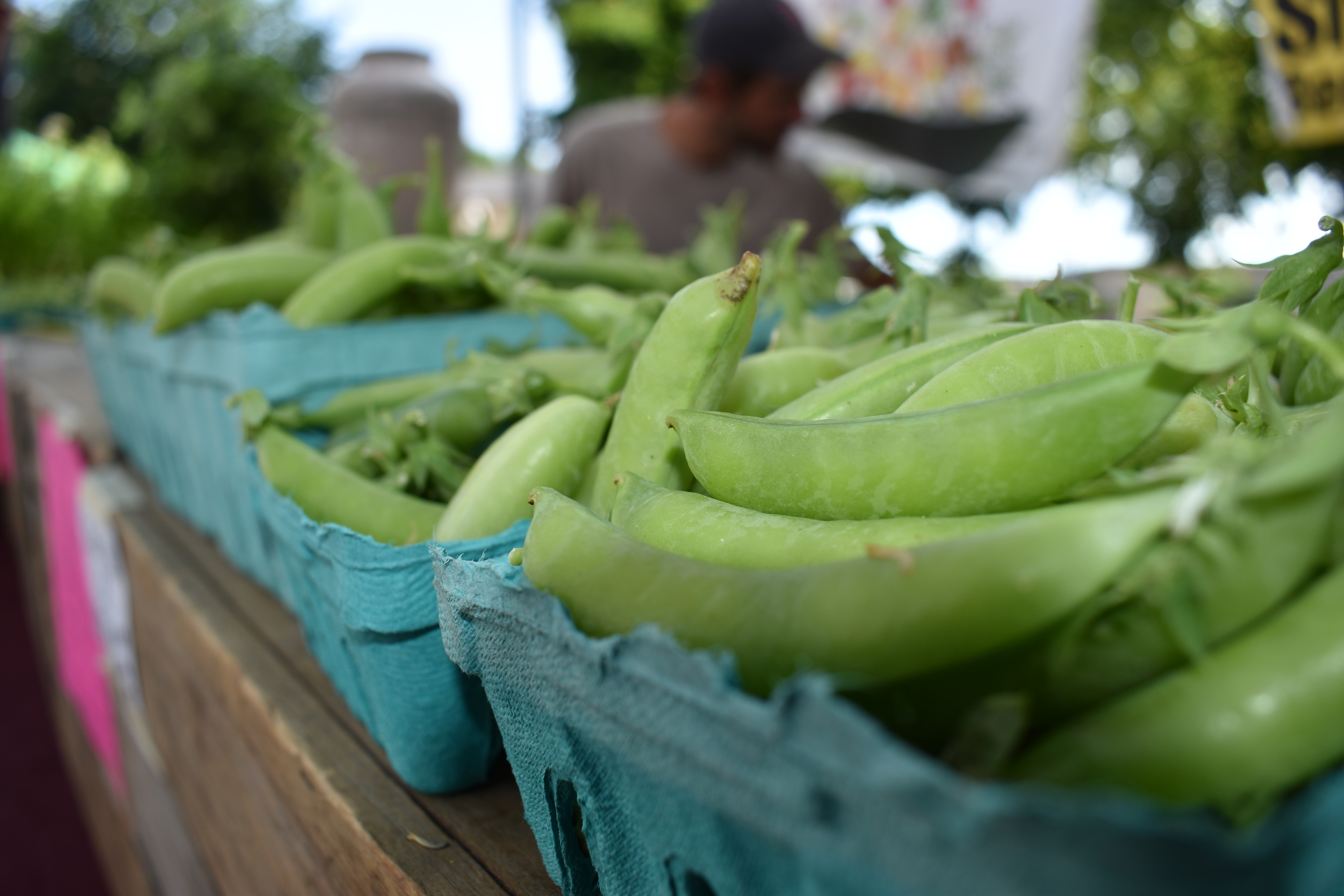 Roslindale Farmers Market