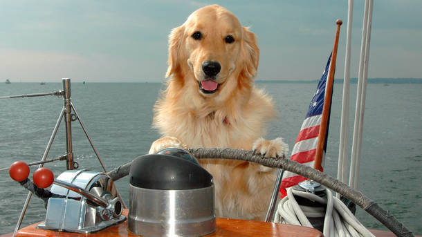 Dog Days Of Summer Cruise 08 14 19