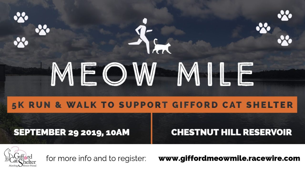 Meow Mile 5k Run Walk 09 29 19