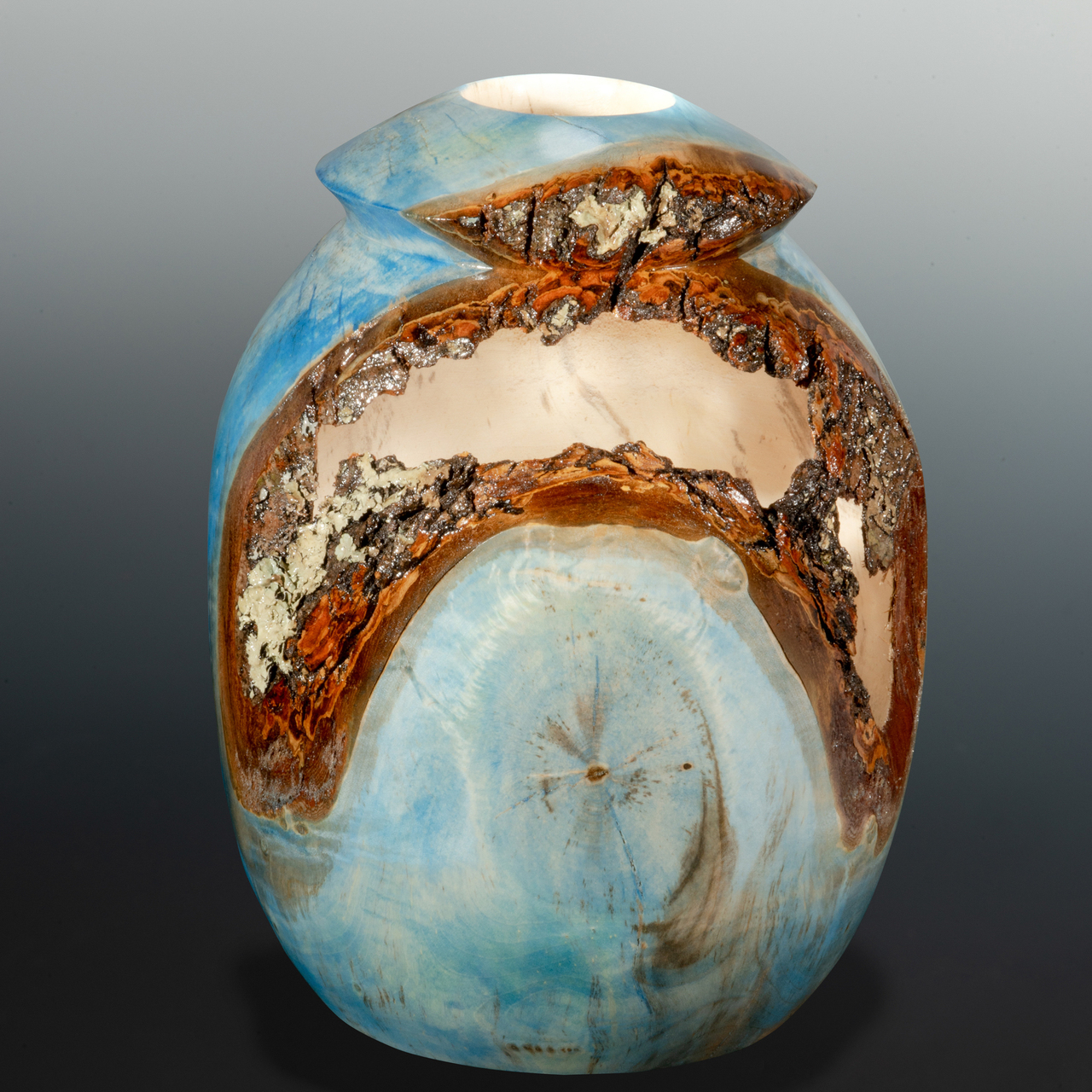 Woodturning Demos The Art Of The Woodturner V 101919 -