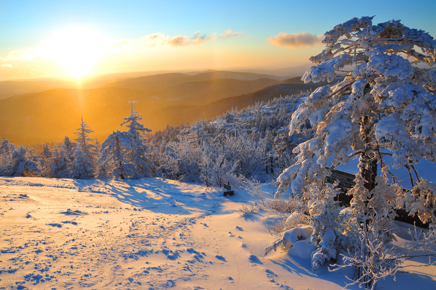 Winter hike- the practise after the class -Mount Cardigan [12/08/19]