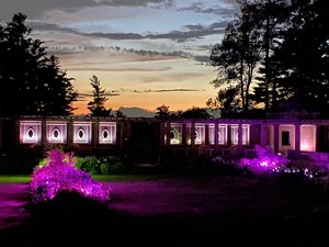 Italian_garden_illuminated_purple_by_h_mcsween