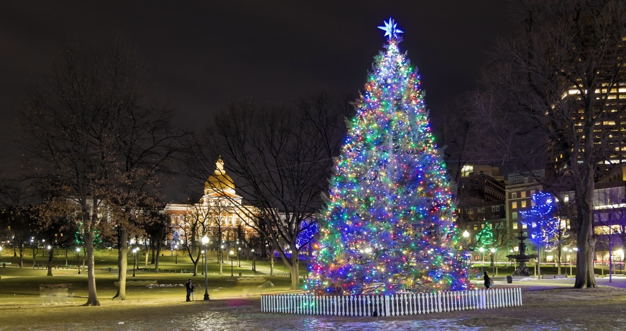Christmas Tree Lighting Near Me 2021 Christmas Desserts 2021