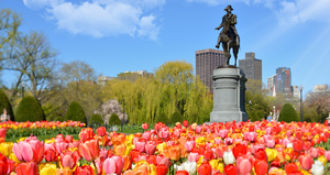 Things_to_do_in_boston_spring_2021