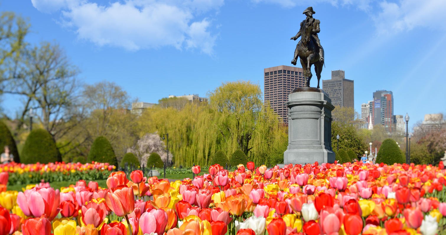 24 things to do in Boston in Spring 2021 [04/10/21]