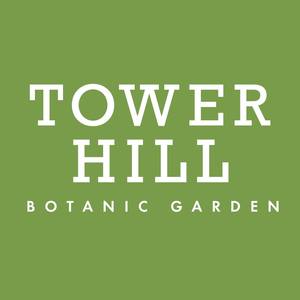 Tower_hill_green
