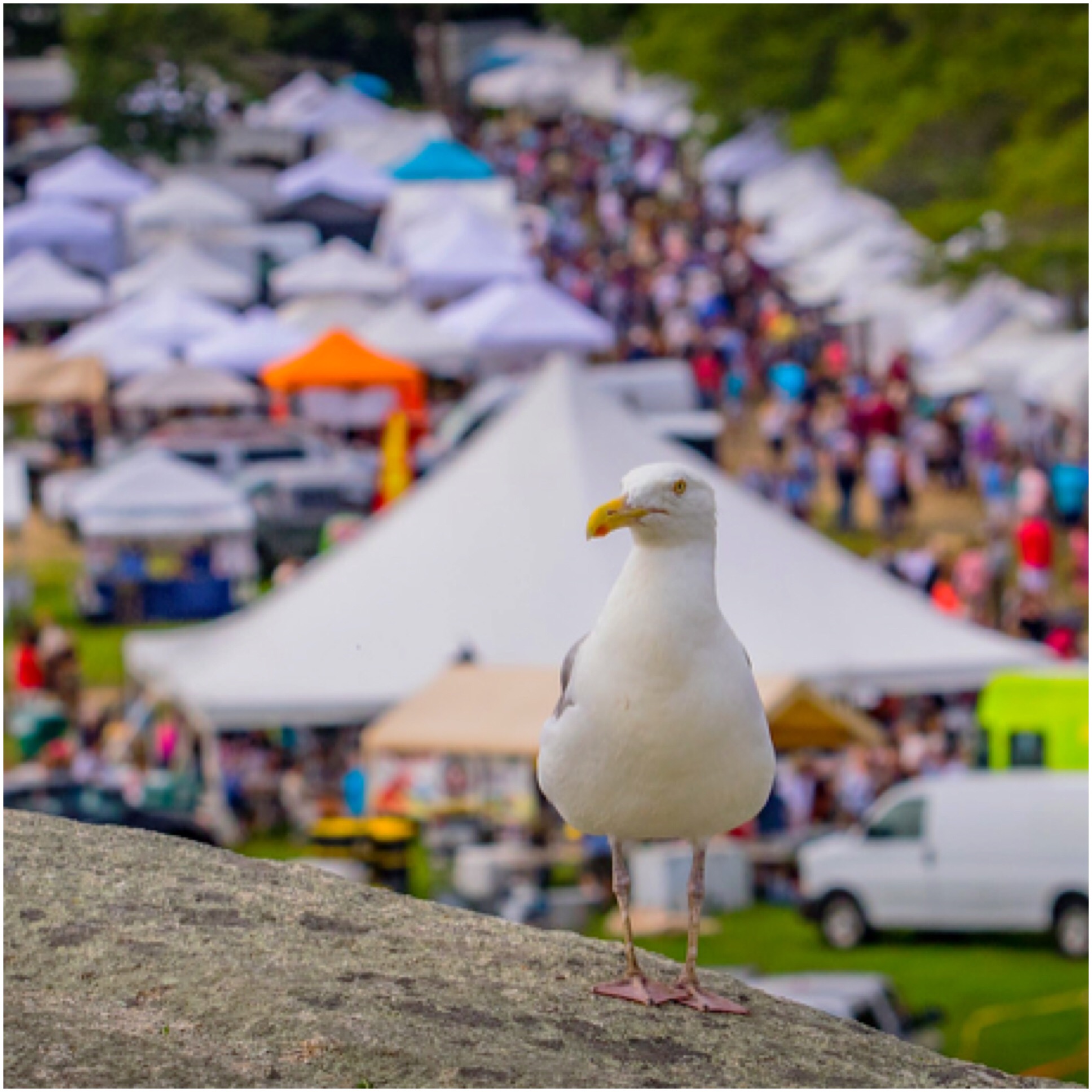 40th Annual Gloucester Waterfront Festival [08/21/21]