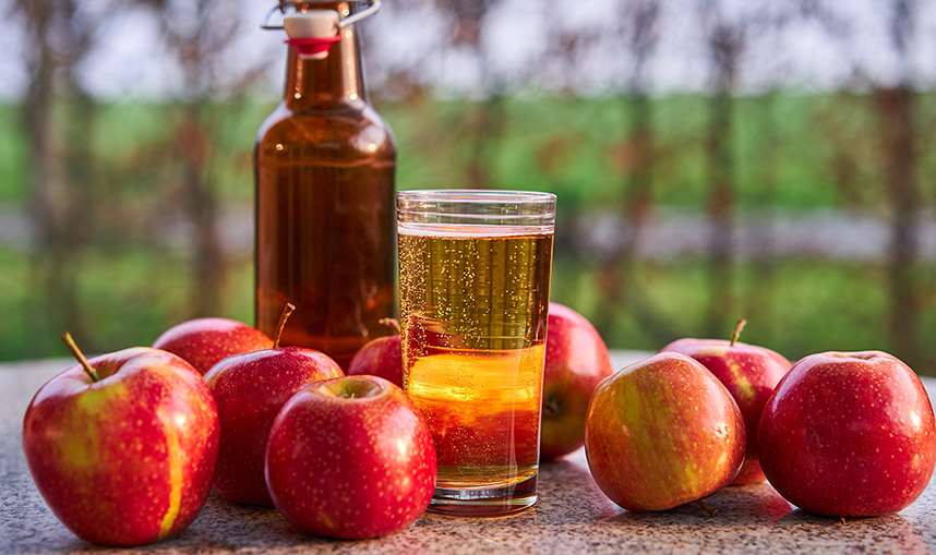 Hard Cider Festival [10/16/21]