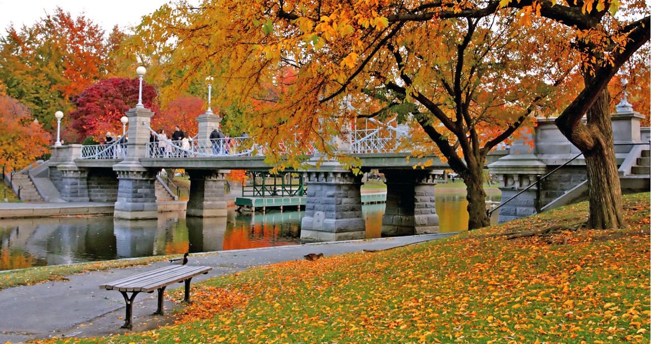37 things to do in Boston this weekend [11/05/21]