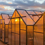 Six___west_rooftop_greenhouses