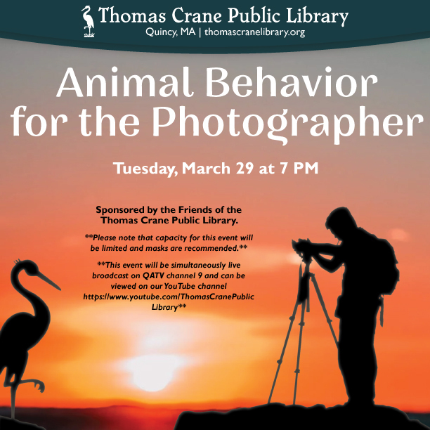 Animal Behavior for the Photographer [03/29/22]